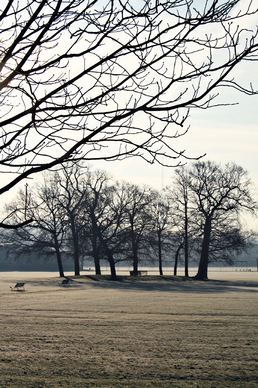 dulwich college grounds