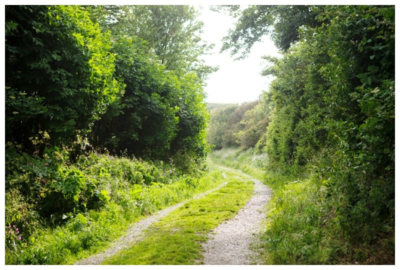 country roads in france