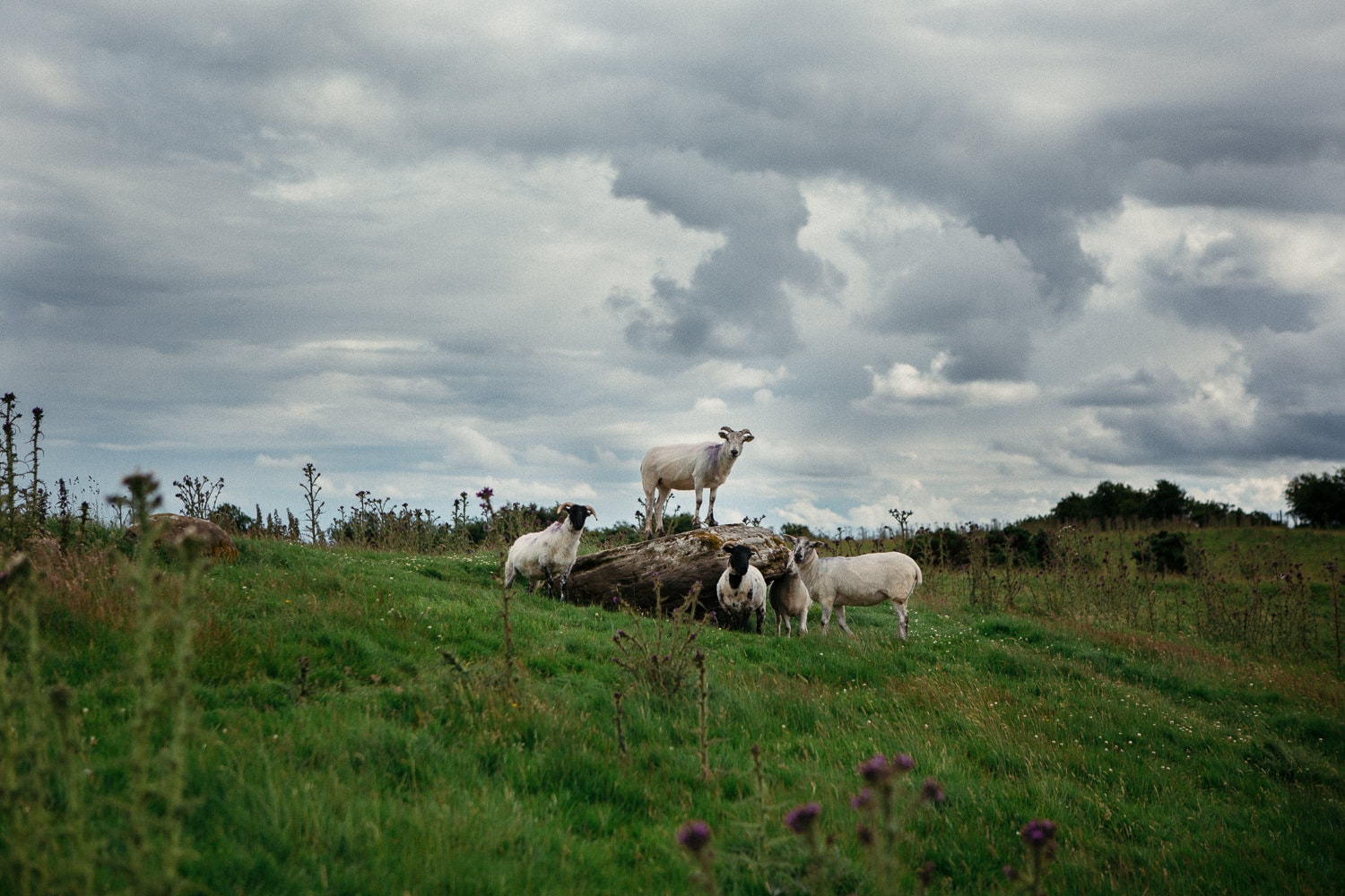 ireland-travel-photographer-11