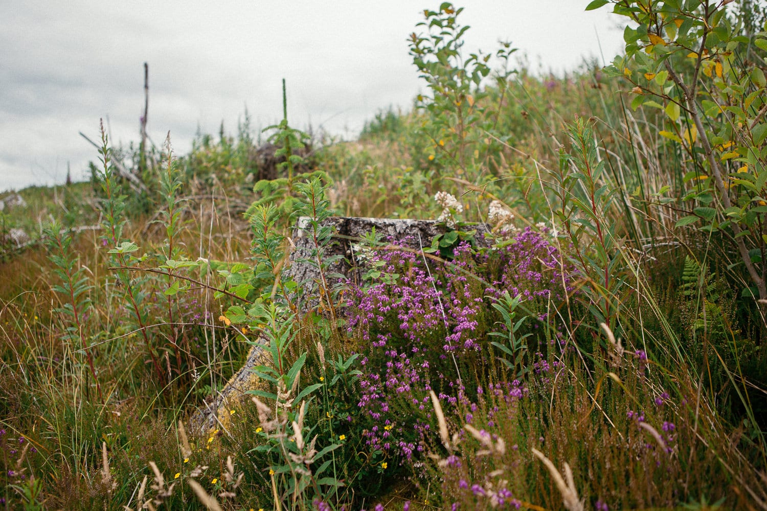 ireland-travel-photographer-22