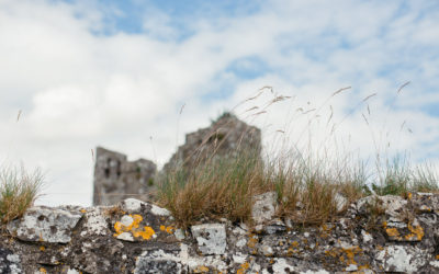 Roadtrippin’ in Ireland