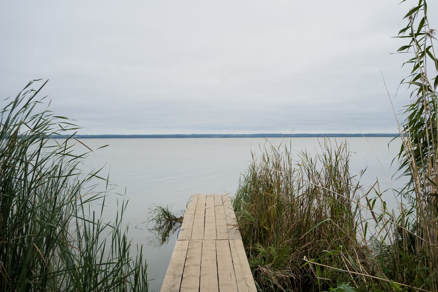 World-building and looking for my lineage