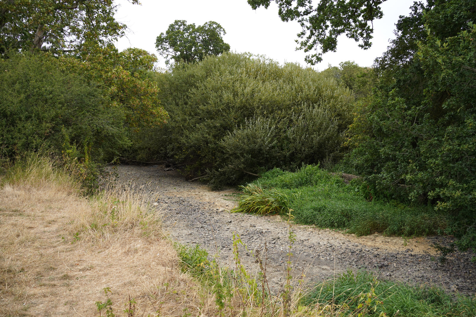 Revisiting River Mole